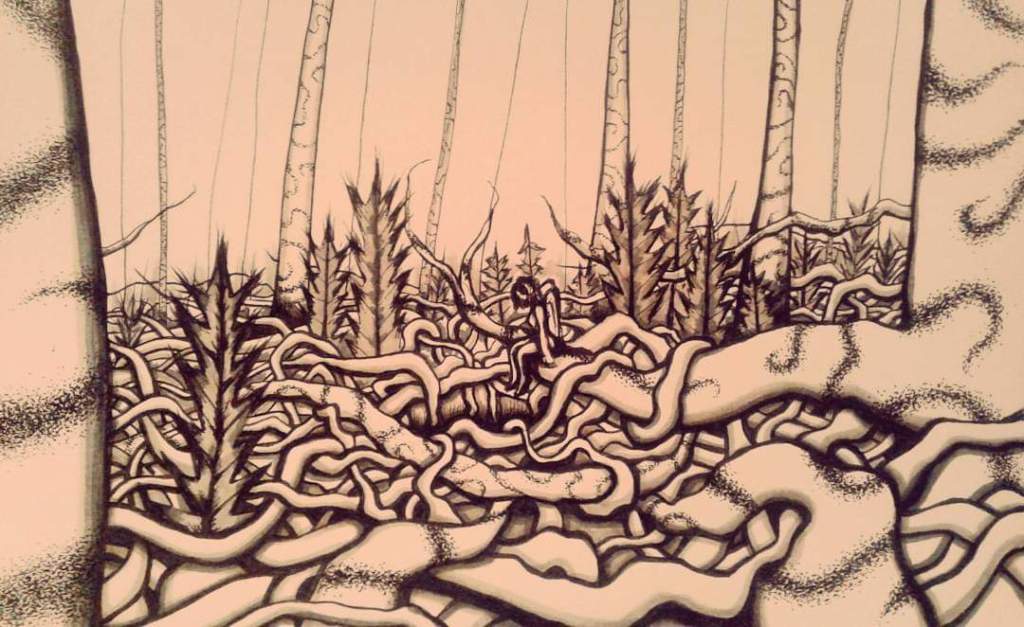 Far Away from the Permitted and Well-traveled Paths of the&nbsp;Forest